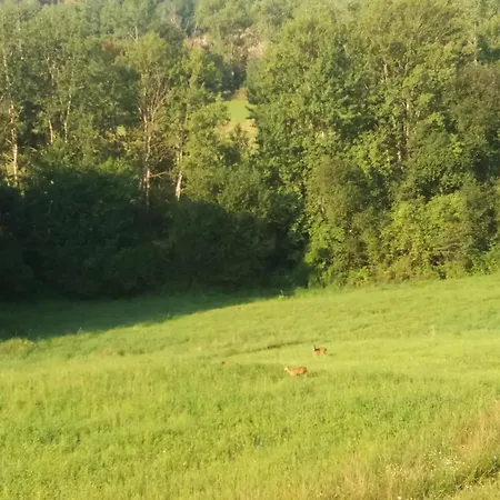 Casa de Férias Maraska House Kamienna Gora