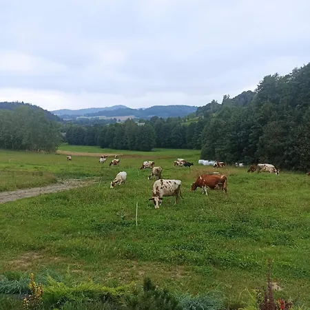 Maraska House Casa de Férias