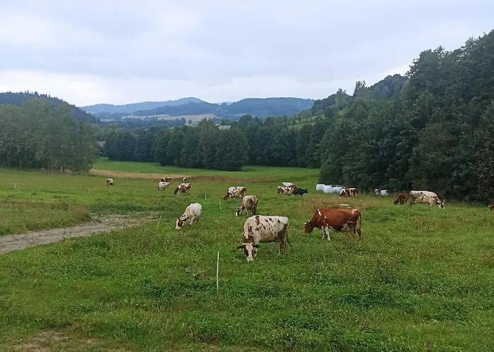 Maraska House Дом отдыха